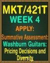 mkt421T Week 4 Summative Assessment Washburn Guitars Pricing Decisions and Diversity